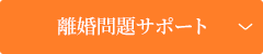 離婚問題サポート