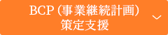 BCP（事業継続計画）策定支援